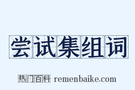 尝试集组词是什么意思的图片